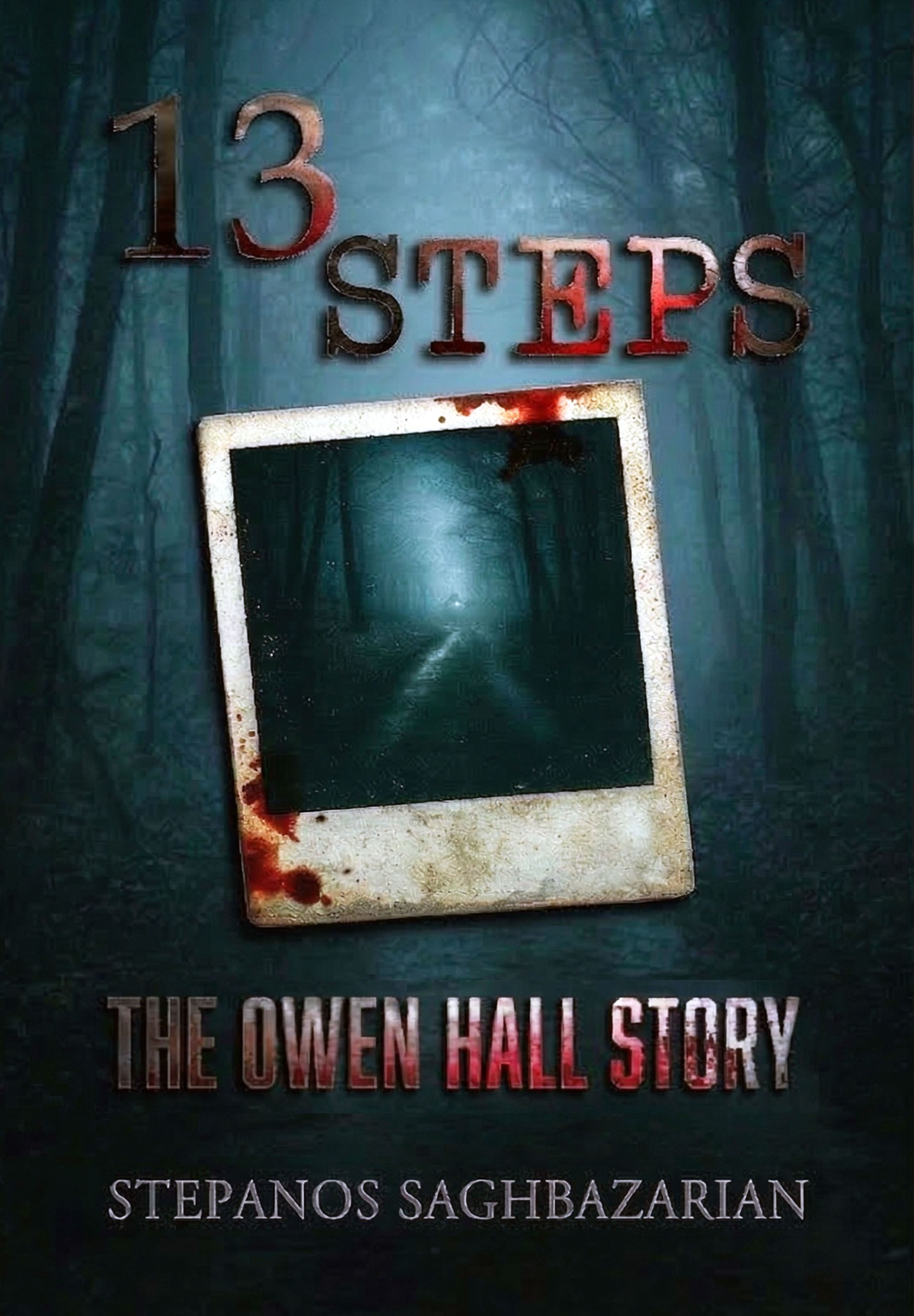13 Steps: The Owen Hall Story cover